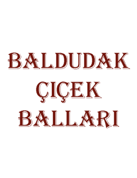 Baldudak Çiçek Balları